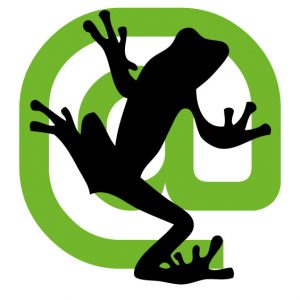 screaming frog SEO review